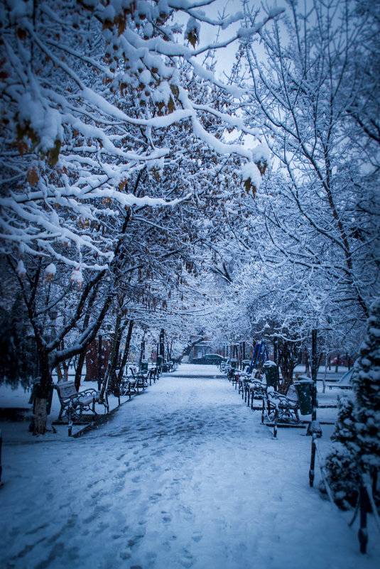 зима - Arshak Badalyan