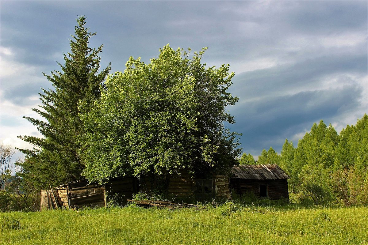 Былое - Сергей Чиняев 