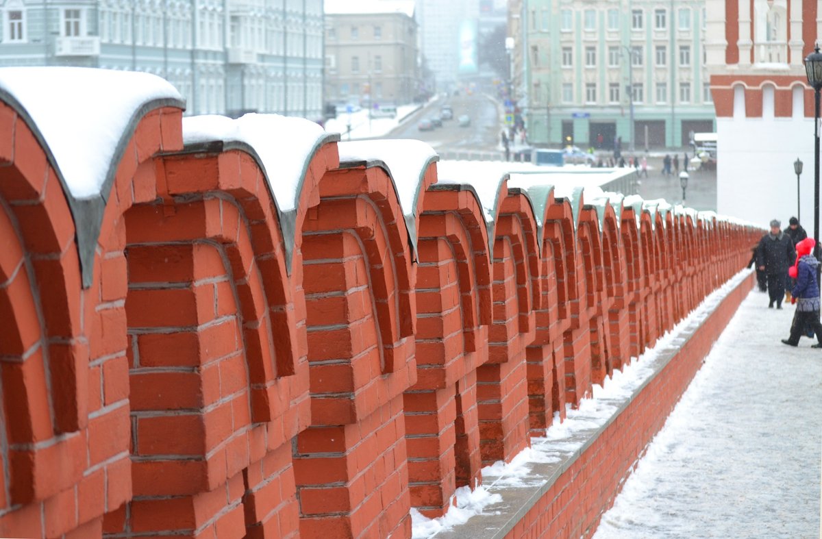 6.01.17 Кремль. Москва - Пердимонокль 