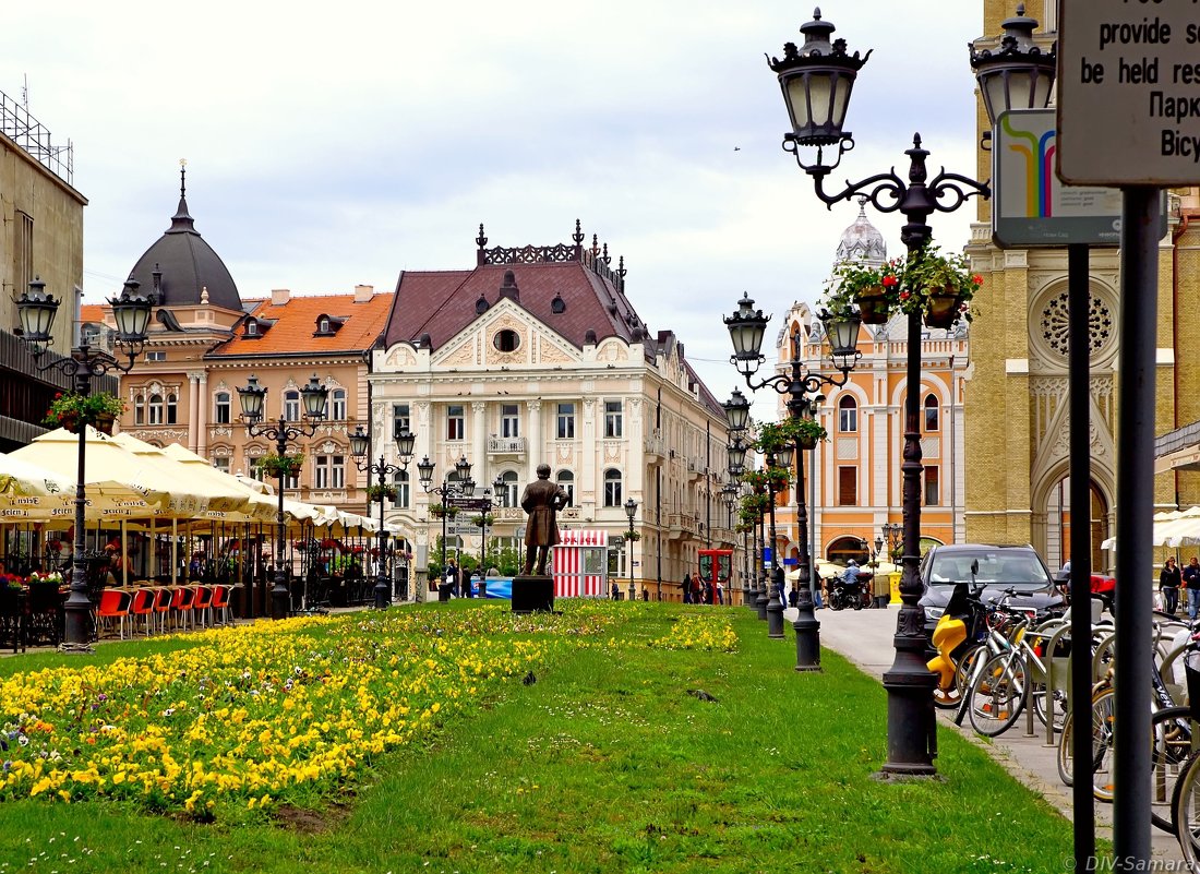 сербия города новый сад