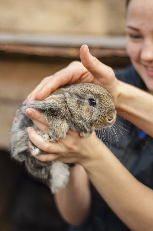 Just a rabbit ^^ - Сергей Nikon