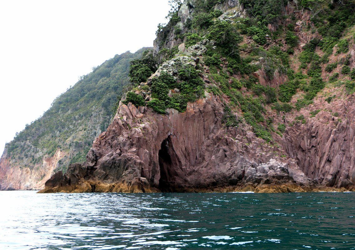 Whakatane, whale island - Natalya секрет