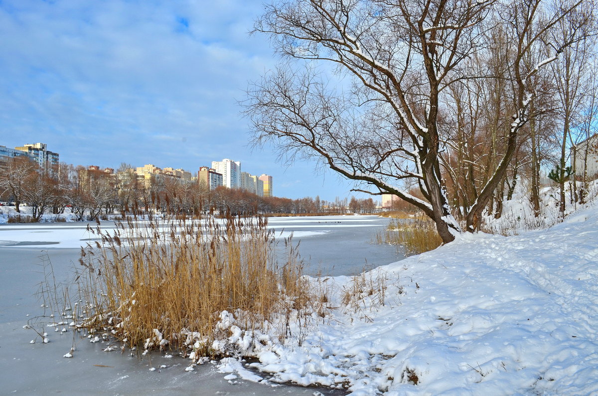Зима в городе - Валентина Данилова