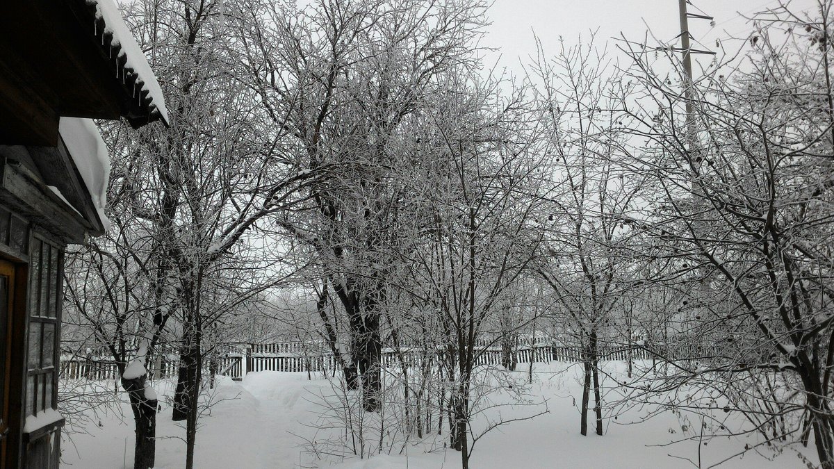 Яблоневый сад зимой - Татьяна Колганова