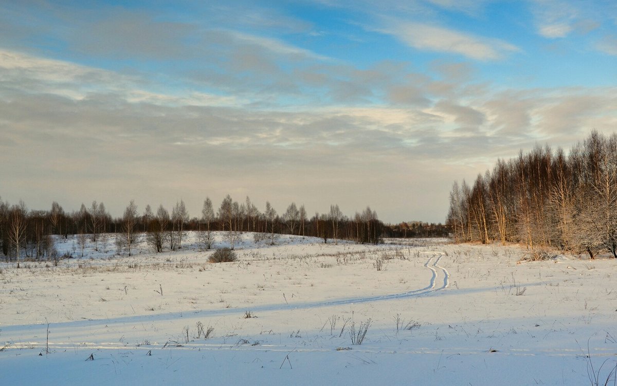 Зимний деревенский пейзаж - Милешкин Владимир Алексеевич 