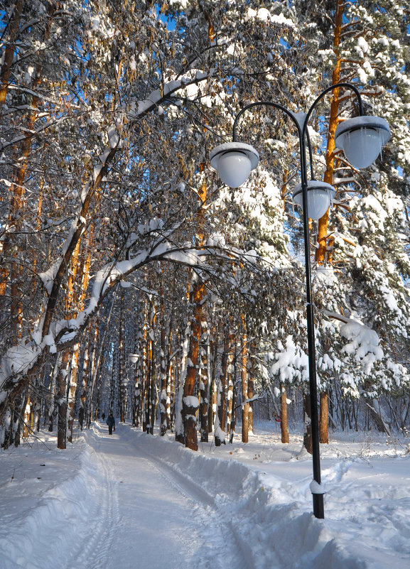 Тропинка в зимнем парке - Сергей Тагиров