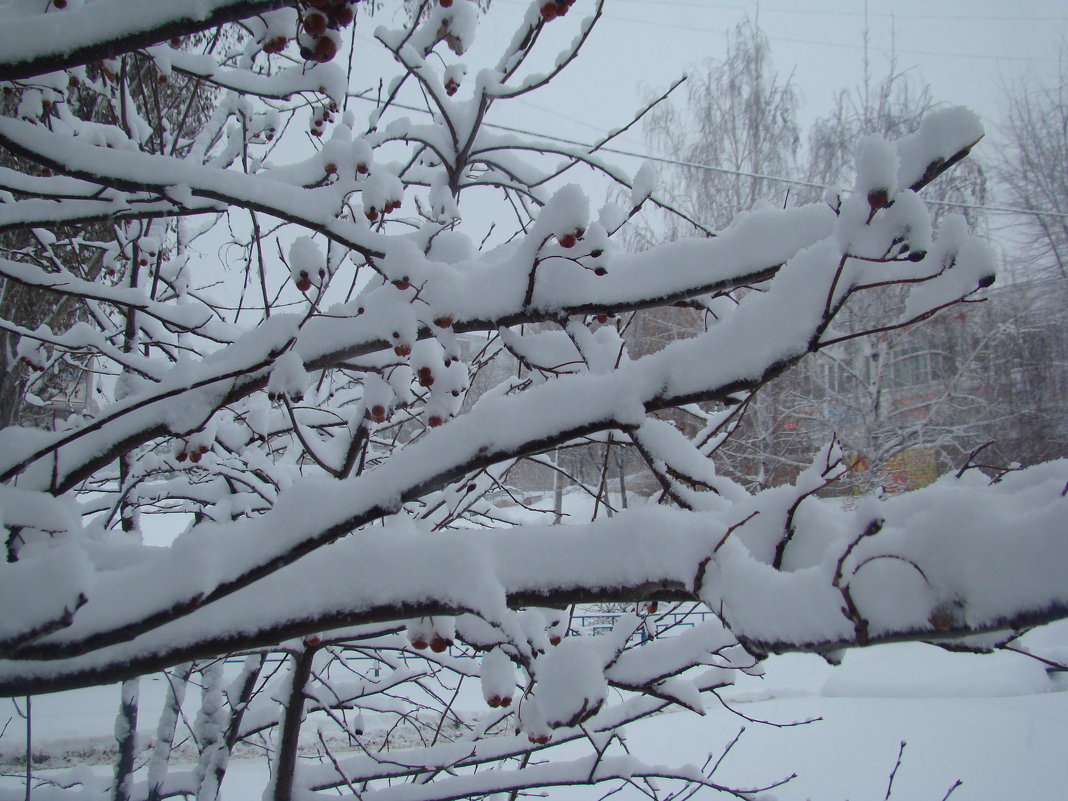 Снежно...в городе - марина ковшова 