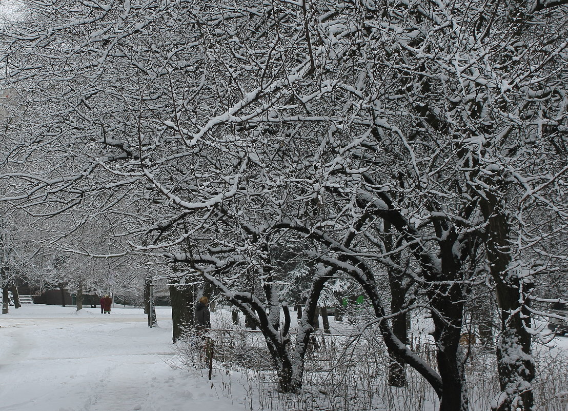 Вот снег укутал белой шалью город. ... - Валентина ツ ღ✿ღ