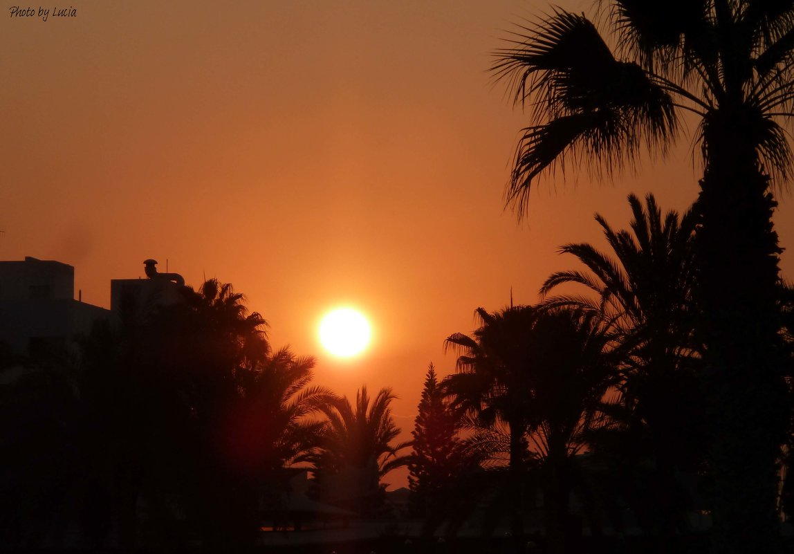 Кипр, закат на солнечном острове ... - Svetlana (Lucia) ***