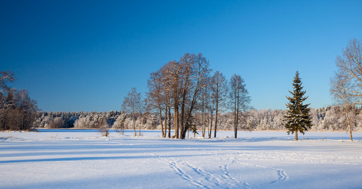 *** - Александр Знаменский