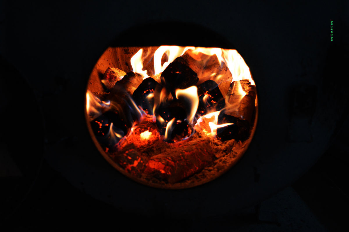 огонь древесный - Ксения Забара