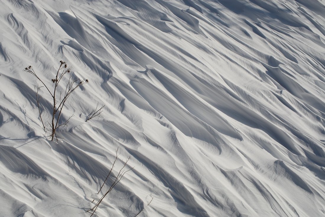 Резьба ветра по снегу - Валерий Чепкасов