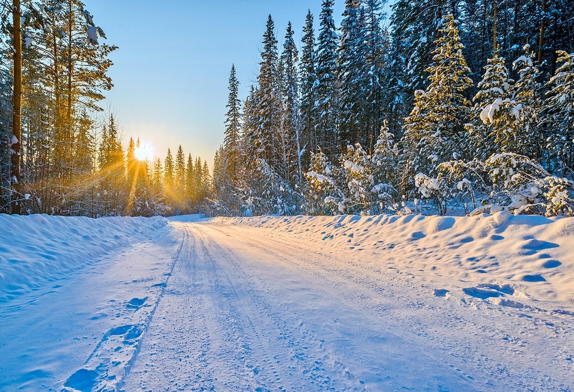 Winter road - Boris Altynnikov