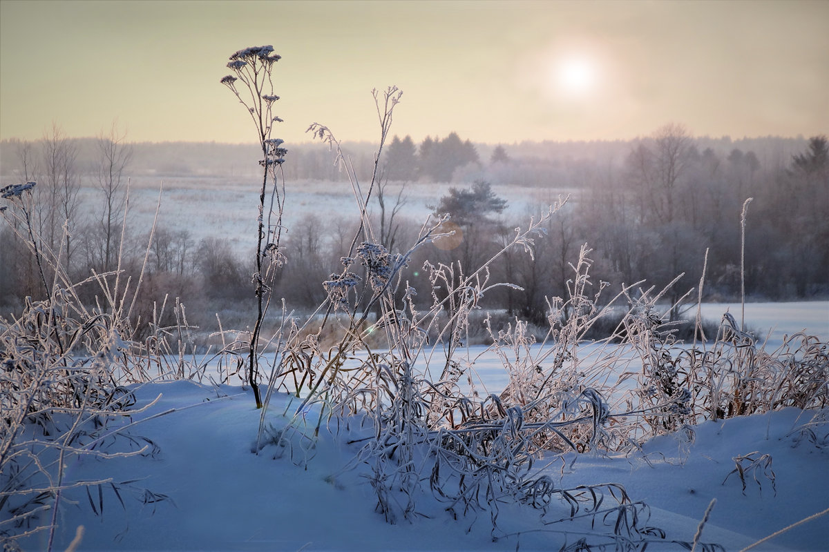 Зимнее солнце 4 - Валерий Талашов
