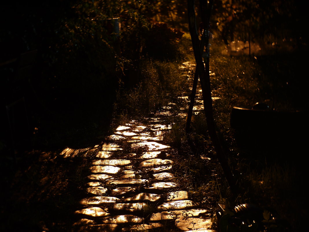 Ночная дорожка в дождливую осень - Михаил 