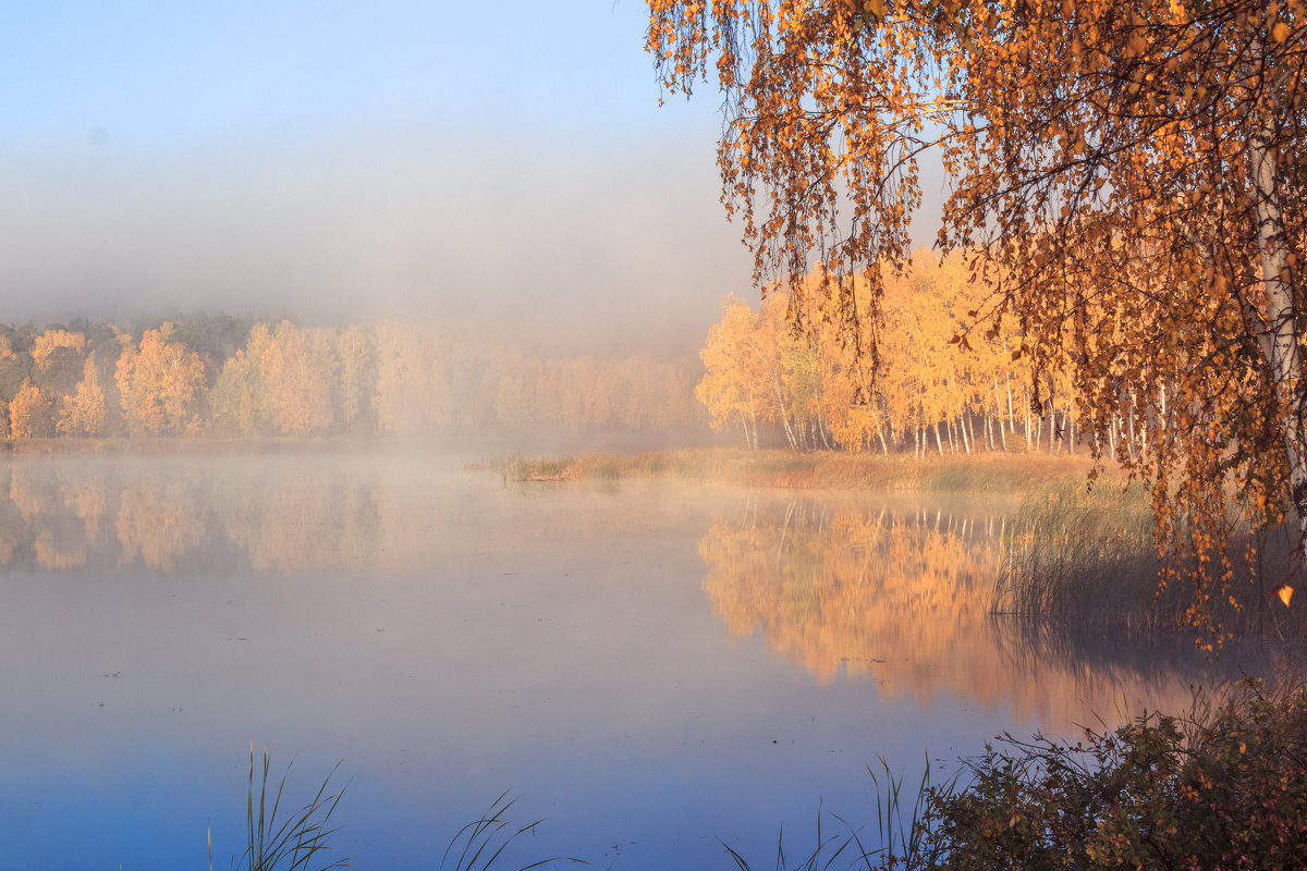 Осеннее утро на реке