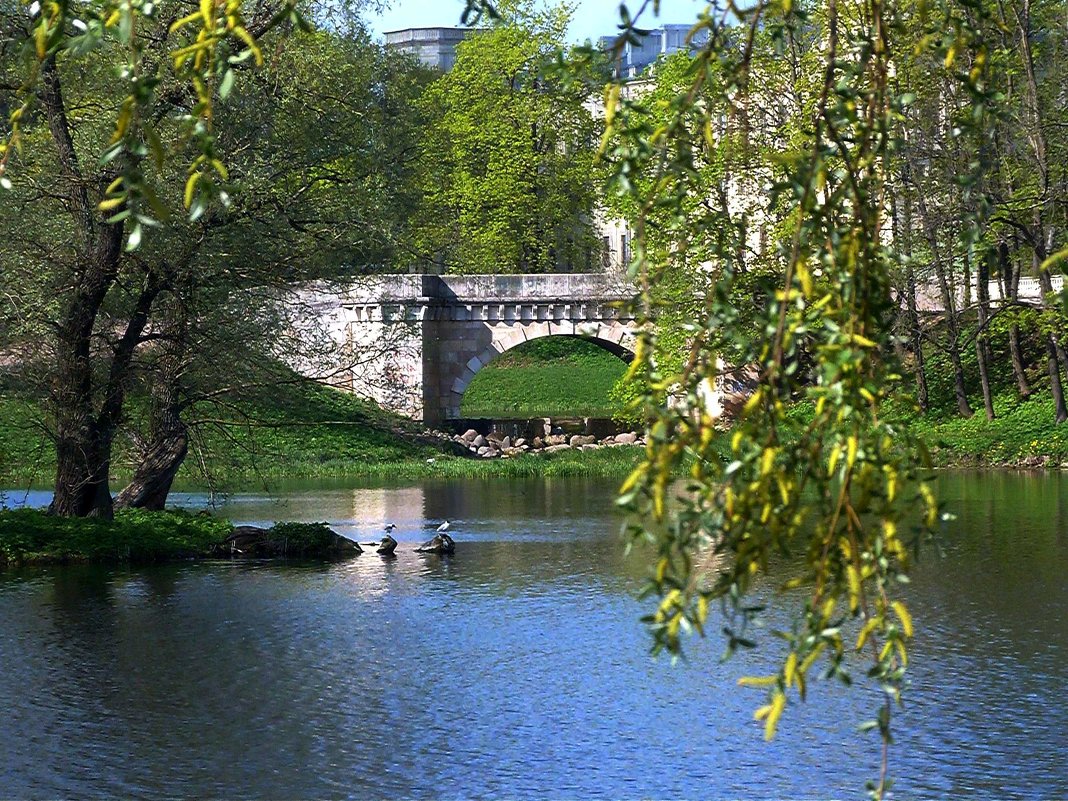 мост в Гатчинском парке - Анатолий Кошевенко