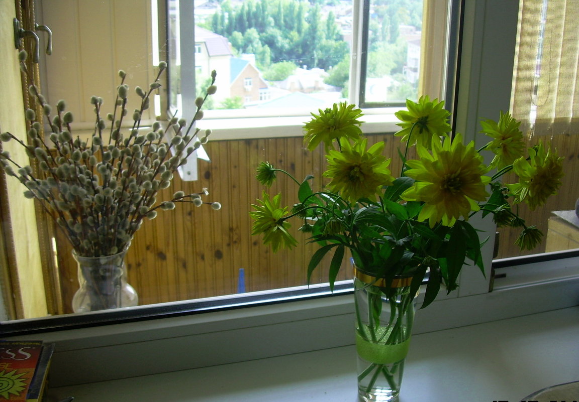 Цветы на окне - татьяна 