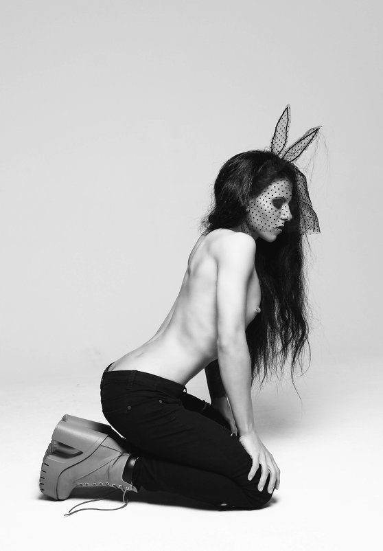 Bunny - Sandra Snow