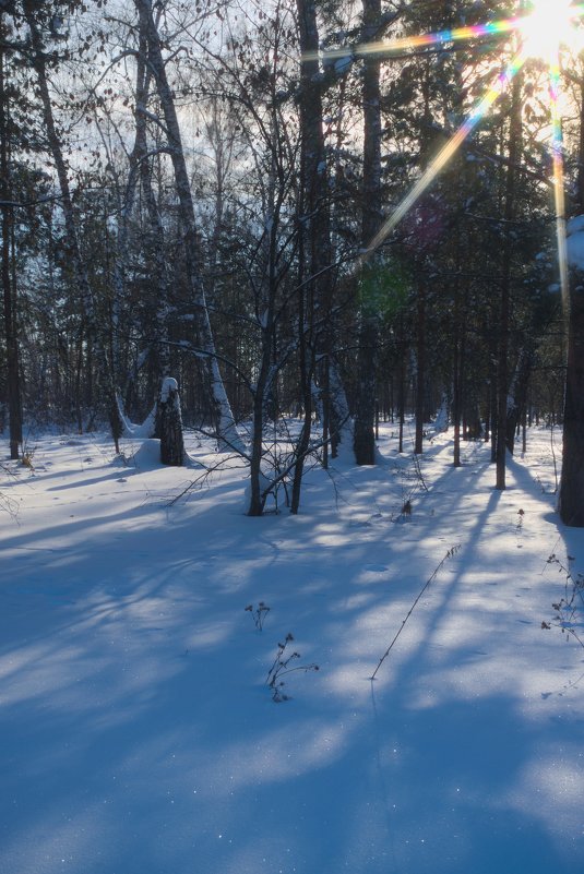 зима в лесу - NikNik 