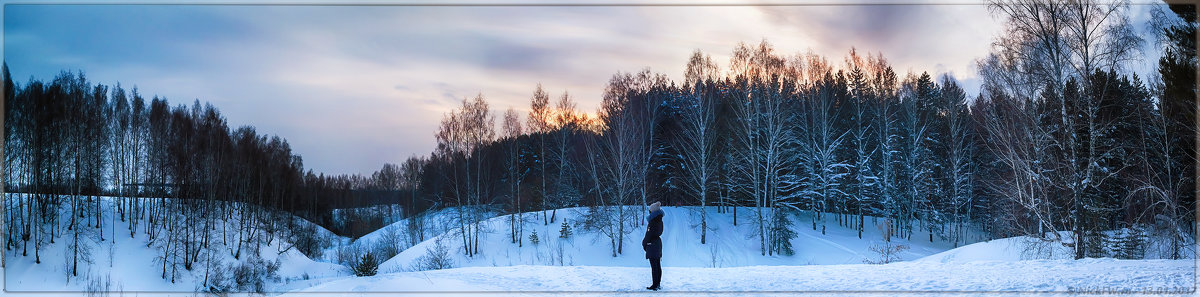 Панорама серебряного бора возле р.Каменушки (© NickFW - 13.01.2017) - Nick Patrin