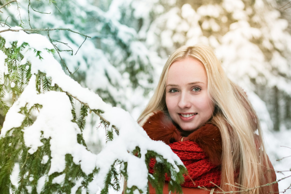 Зимний лес прекрасен - Екатерина Гриб