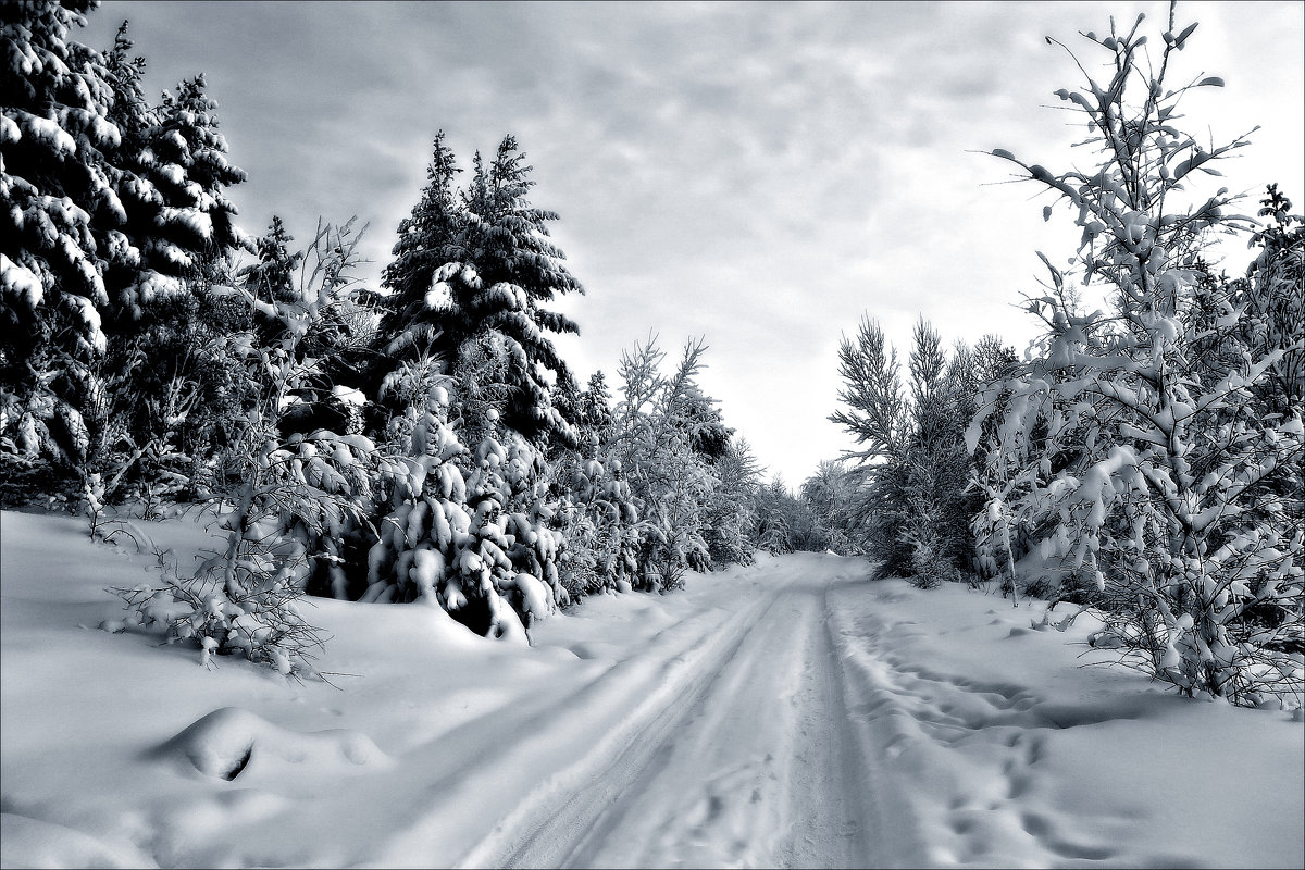 Зимняя дорога - Leonid Rutov