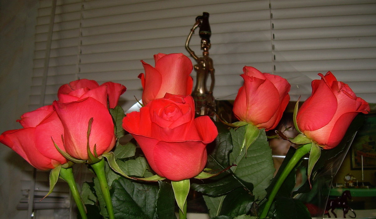 Розы - татьяна 