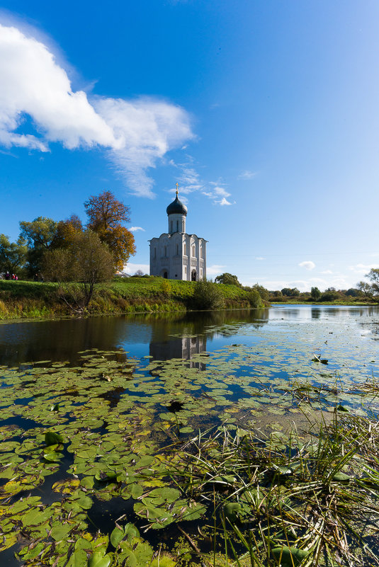 Церковь Покрова Богородицы на Нерли. - Игорь 