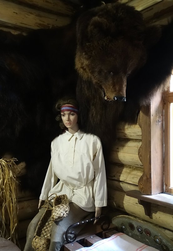 Музейный медведь - Валерий Чепкасов