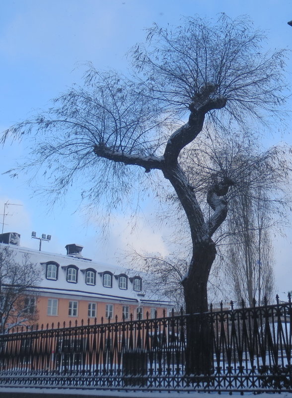 зима в Стокгольме - Елена 