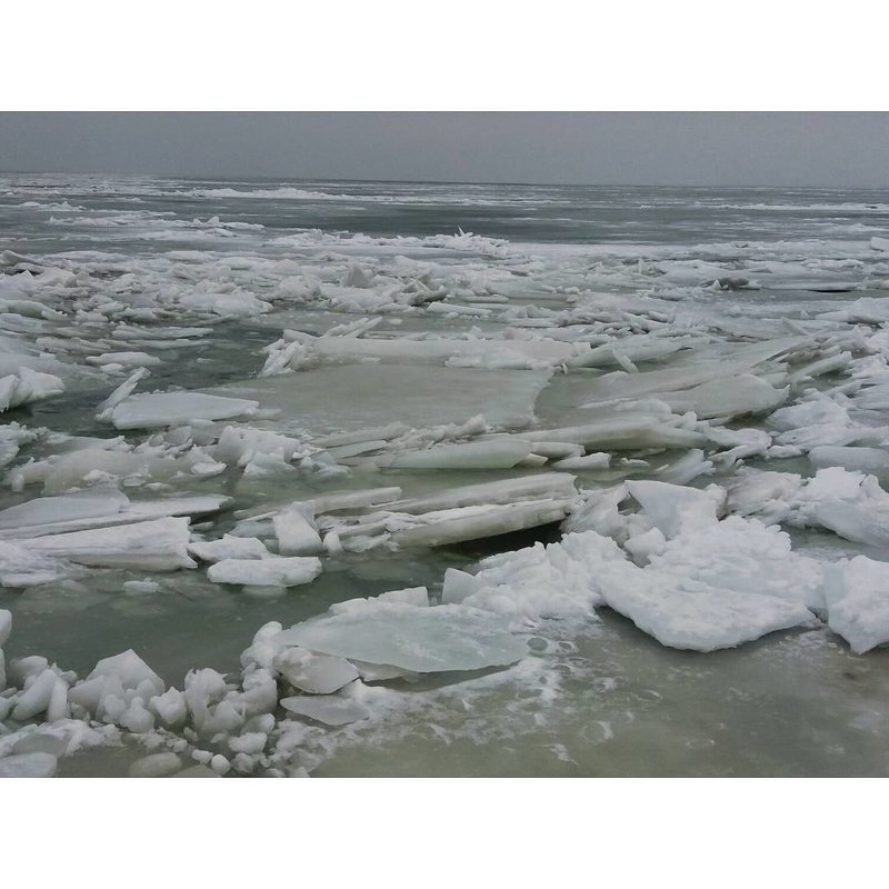 Замерзшее море - Анита Роуз
