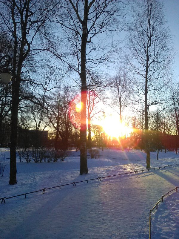 Зимний пейзаж. Солнечный день в феврале. (Санкт-Петербург). - Светлана Калмыкова