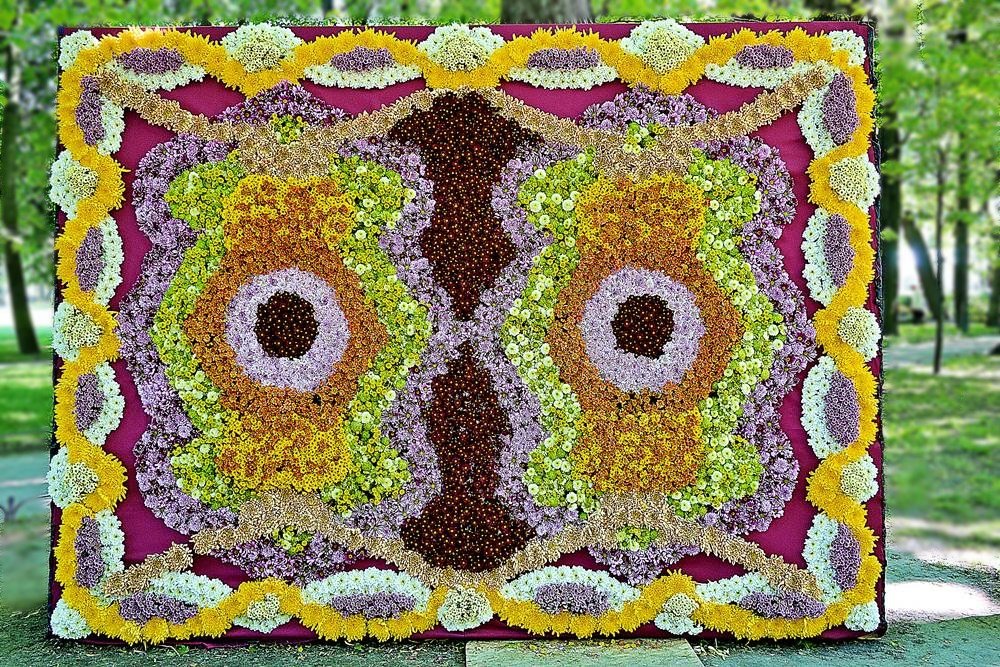ковёр из цветов - alex-kudriashov 