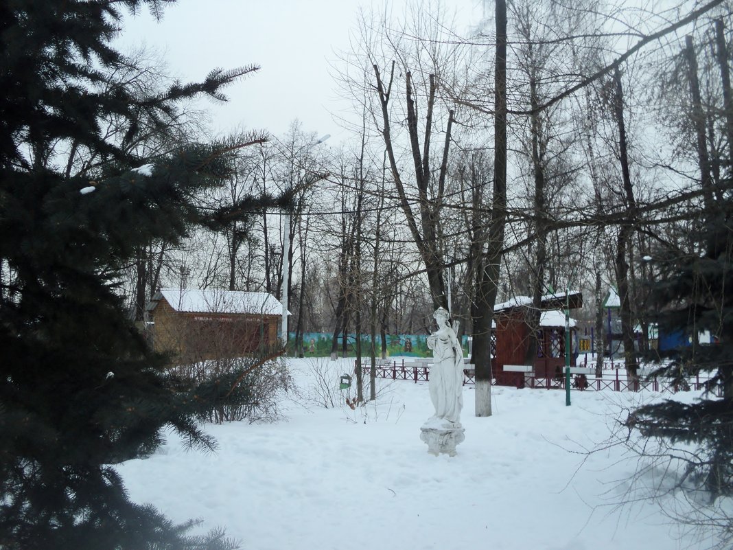 Одинокая дама замерзает в Люберецком парке. - Ольга Кривых