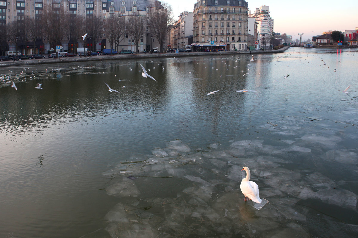 Ожидание Весны - Фотограф в Париже, Франции Наталья Ильина