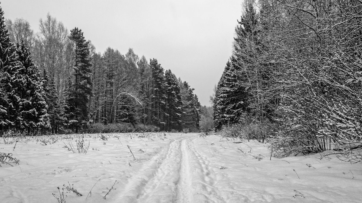 Зимний пейзаж - Владимир Лазарев