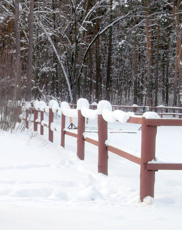 снежная гирлянда на заборе - Вячеслав Афанасьев