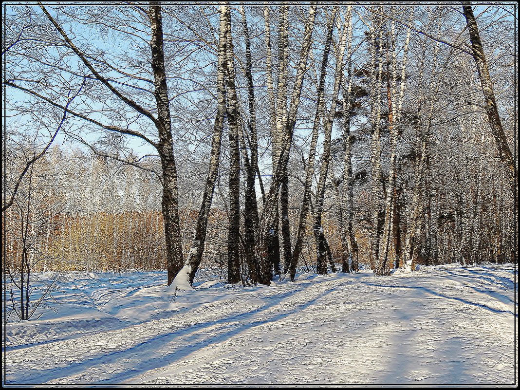 зимний лес - Валентина. .