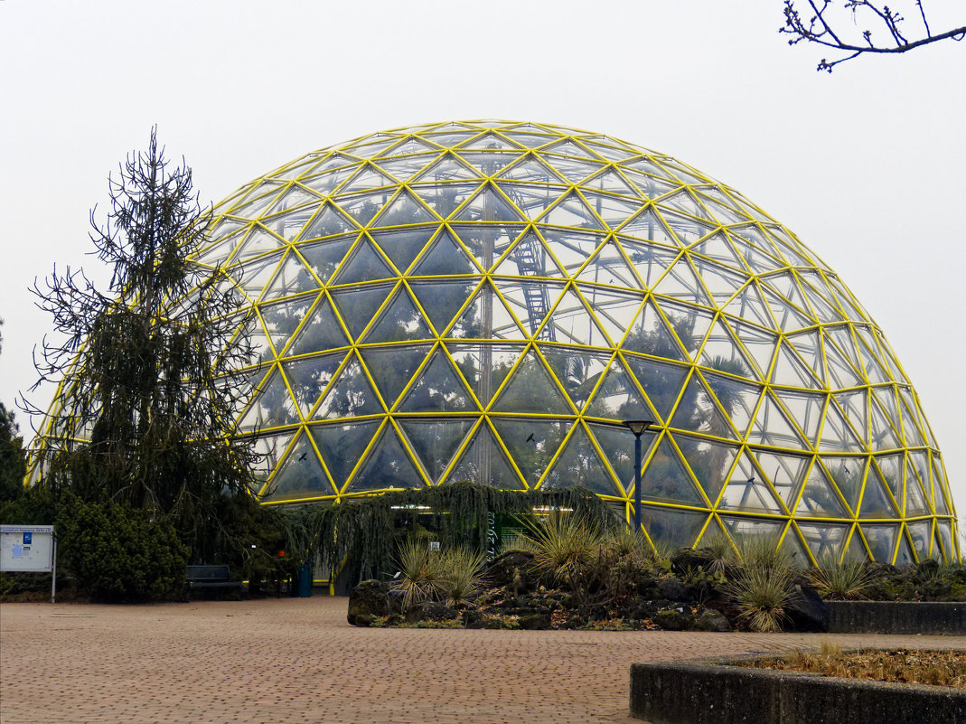 Зимой в ботаническом саду  дюссельдорфского университета - Witalij Loewin