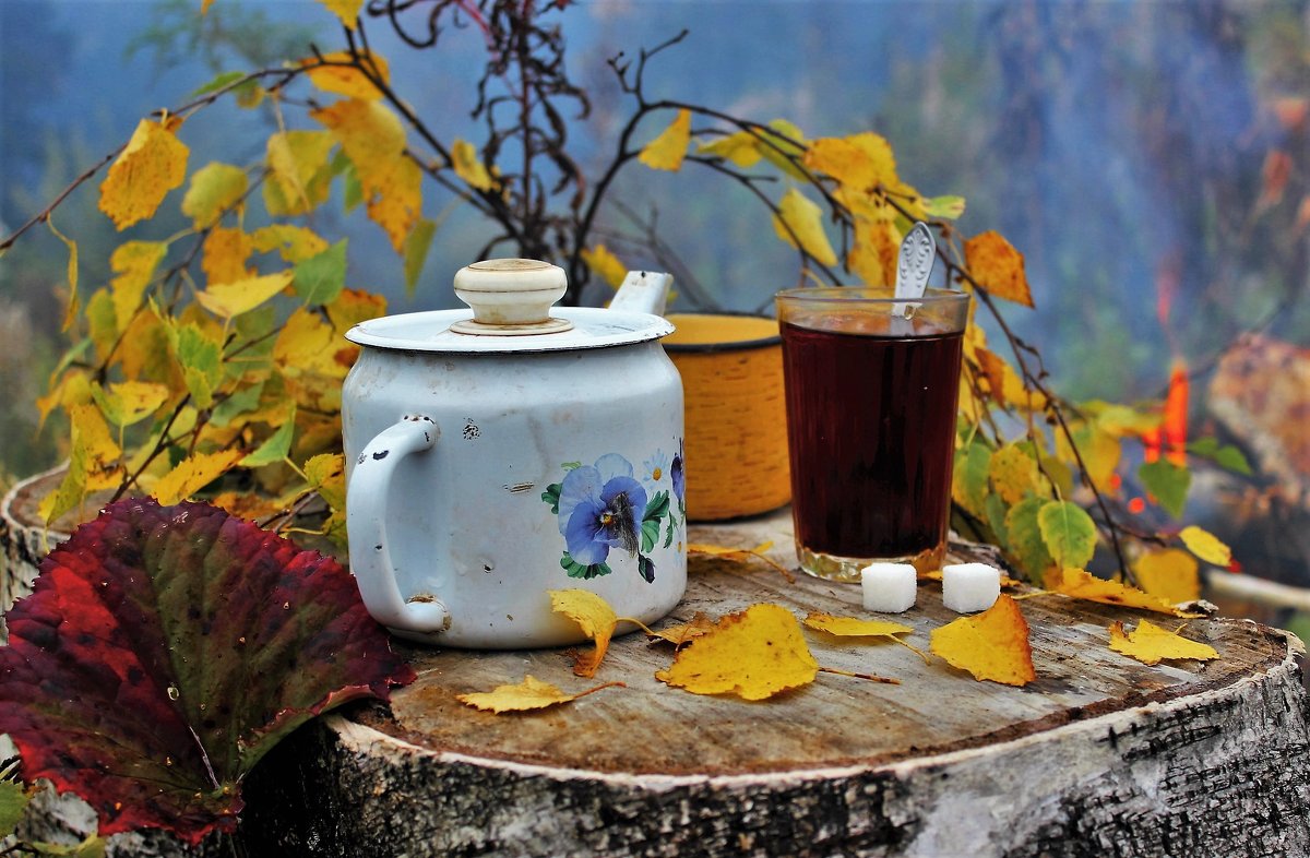 Чай в лесу - Сергей Чиняев 