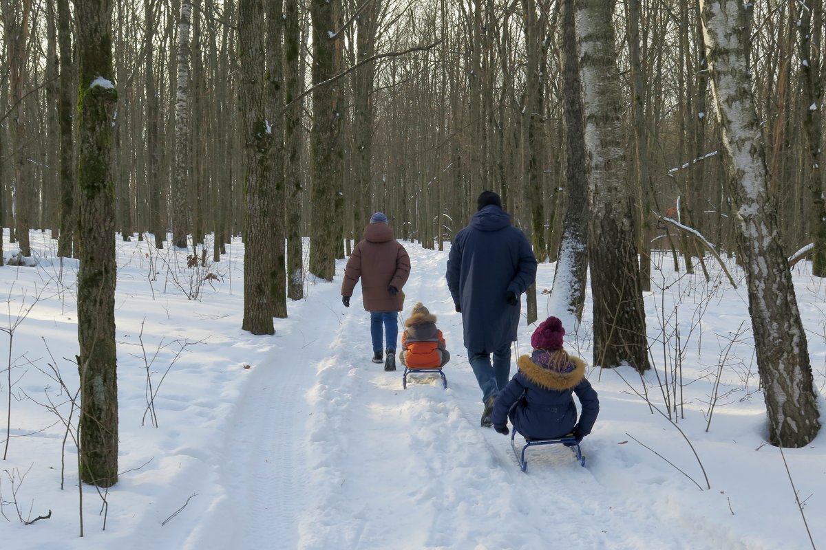 Прогулка в зимний лес - Геннадий Храмцов