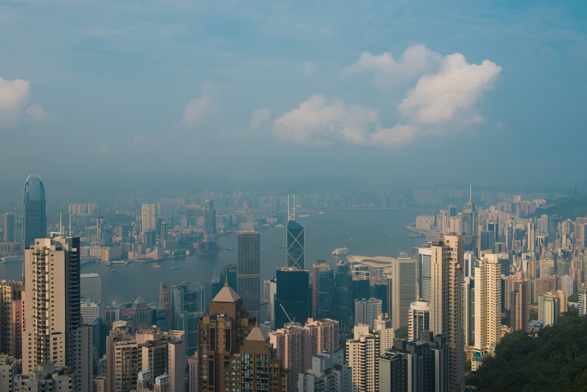Hong Kong City View - Sofia Rakitskaia