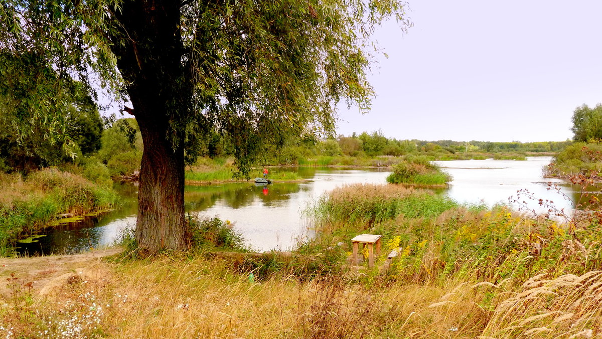 озеро на окраине Гомеля - Александр Прокудин