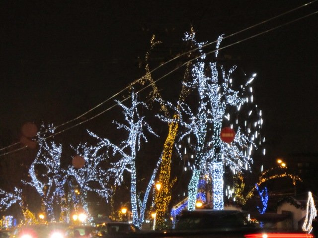 Новогодние деревья - Дмитрий Никитин