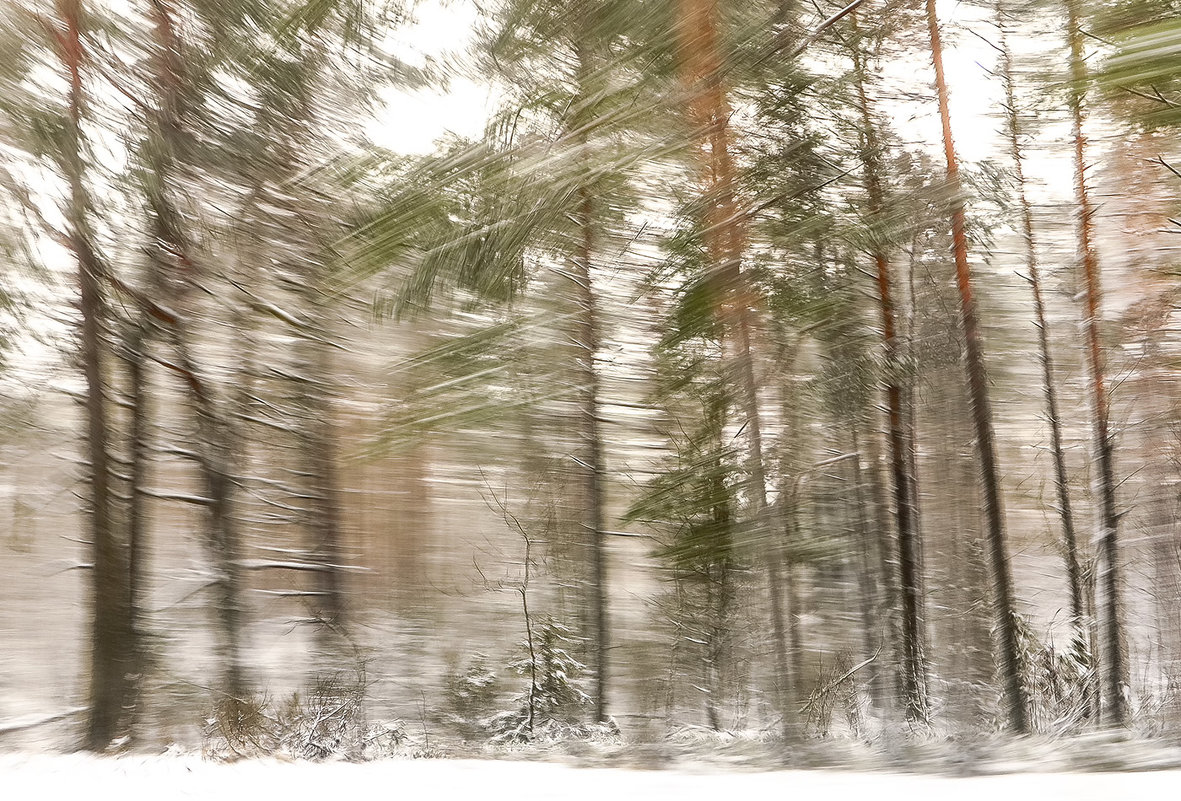 *** Зимний пейзаж из окна автомобиля. - Евгений Поляков