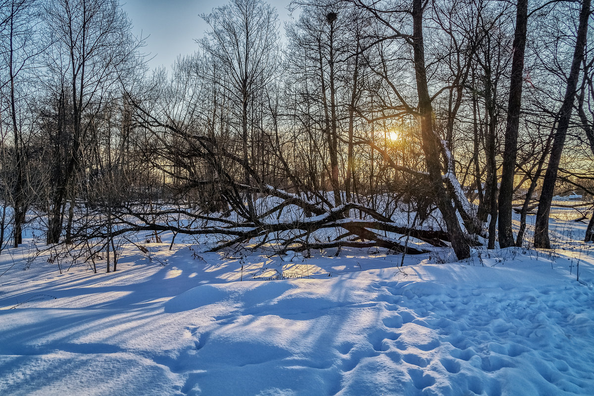 Зимний пейзаж 4 - Андрей Дворников