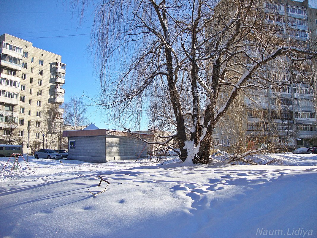 Любимый город зимой - Лидия (naum.lidiya)