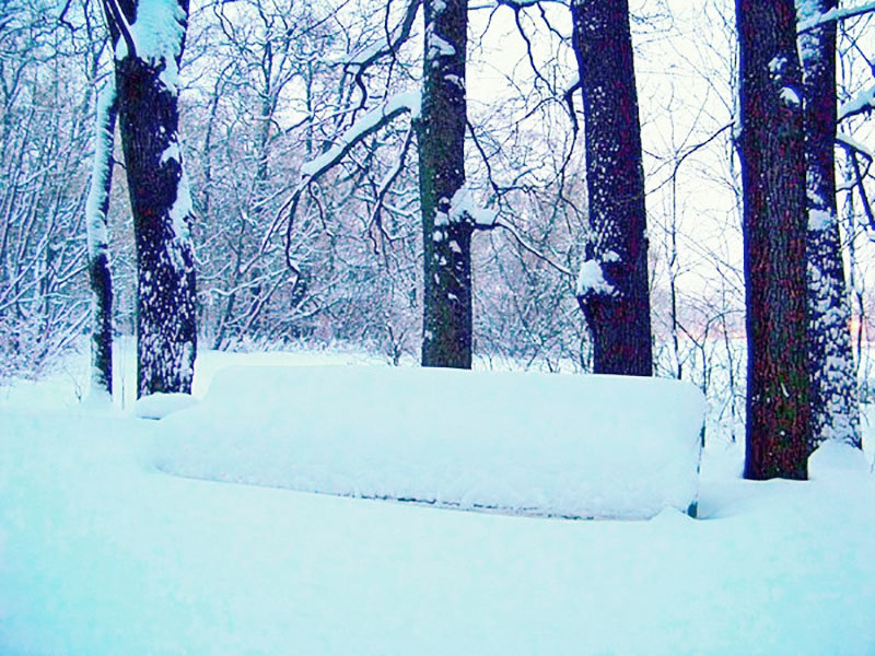 Под снежным покрывалом. - Miko Baltiyskiy