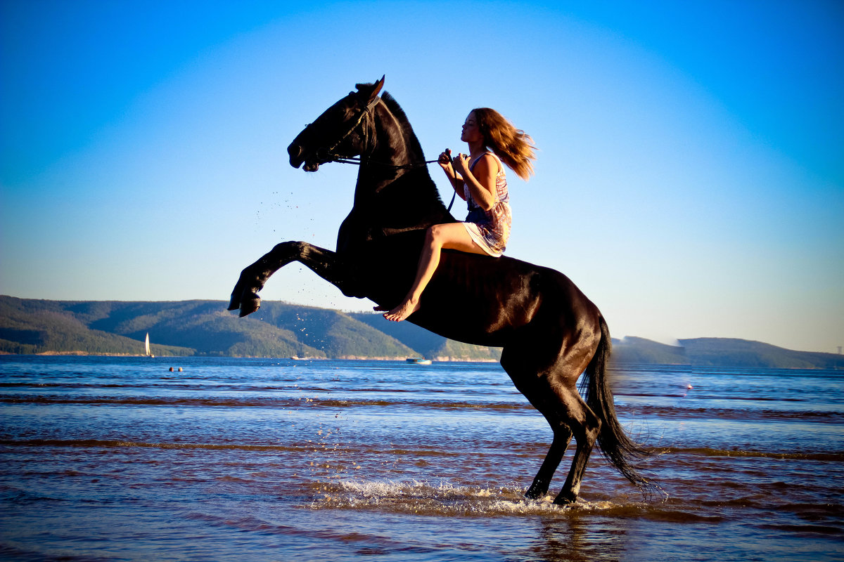 Боевой конь и девушка - Александра Карпушкина